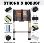 Avis sur l&rsquo;échelle télescopique pas cher Rigogo 3,2 m