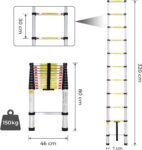 Échelle télescopique Pliable Todeco 3,2 m